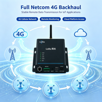 Passerelle LoRaWAN IN865 SX1302 8 canaux 4G LTE avec liaison de données RS485/RS232/Ethernet ChirpStack MQTT YFL1410-4G IP67 Double antennes pour