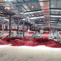 Industriële Rode Chilipeper Gaasbanddroger Sus304 Roestvrij Staal, Heteluchtverwarming, Uitdrogingsapparatuur Van Voedingskwaliteit