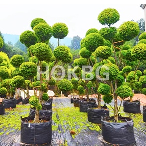 HOKBG Wholesale Cheap 5 7 10 15 20 25 50 75 100 Gallon Black Plastic Pot Outdoor Nursery Plant Plastic Pot for tree planting