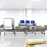 Système de nettoyage et de séchage des œufs de cane 30000 EPH Équipement de transformation alimentaire