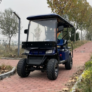 Nuevo carrito de golf eléctrico de cuatro ruedas 2025, coche de turismo eléctrico equipado con Coche club refrigerador certificado EEC/CE - Product Image 5