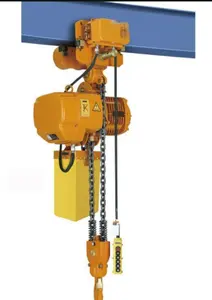 Top Selling Remote Control Capacity 2 Ton 3 Ton 5 Ton Electric Chain Hoist 8 Meters Price