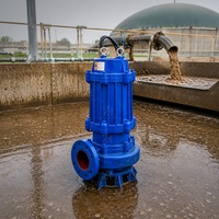 Pompe submersible anti-colmatage pour la gestion des solides, pompe à eaux usées submersible pour le transfert de boues et de sédiments en usine de biogaz