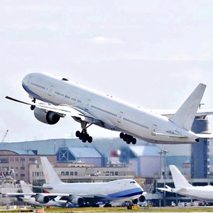 Cheap Air Freight Logistics Service From China <strong>Main</strong> Ports and <strong>Airports</strong> to Dominica Anguilla Fast Safe Delivery - Product Image 4