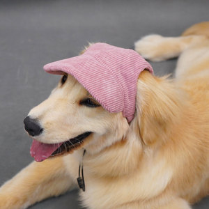 Chongtapet Gorra de Béisbol para Perro con Protección Solar y Orejas Descubiertas, Monocromática, Ropa de Verano para Perros Grandes - Product Image 4