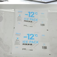Ventes en gros de blocs de glace en gel réutilisables de haute qualité, personnalisés, 250 ml