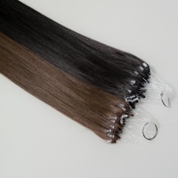 H6 Remy-Haarverlängerung mit Federenden, Doppelt Gezogen, Weich, 6H Micro-Loop, Russisches Haar, Natürliche Farbe, Salonqualität, Färbbar