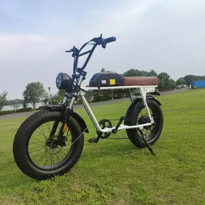 Herolion Motos-bicicleta eléctrica, Motor eléctrico