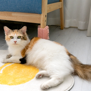 Manufacturer Wholesale pink Green <b>Bath</b> Grooming Fixed Cat <b>Brush</b> - Product Image 5