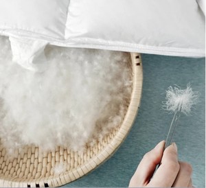 Plumón <span class=keywords><strong>de</strong></span> pato blanco 90/10 estándar europeo Plumas y plumón <span class=keywords><strong>de</strong></span> alta calidad - Product Image 4