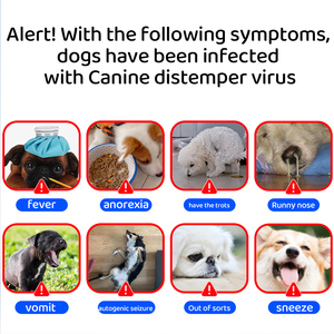 Veterinär-Schnelltest kits der Marke MR für die CDV CPV FPV RBV-Antigen erkennung bei Hunden und Katzen Einfache Bedienung - Product Image 2