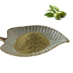 Olea Europaea葉エキスOleuropein粉末オリーブリーフエキス40% Oleuropein - Product Image 1