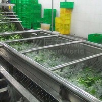 Leadworld Fruit Groente Sorteren Wassen Snijden Bevroren Productielijn Bevroren Groente Wasmachine Verwerking Lijn