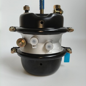 <span class=keywords><strong>Chambre</strong></span> de frein à ressort pour semi-remorque de haute qualité T3030DD 3030 30/30, <span class=keywords><strong>chambre</strong></span> de frein pneumatique personnalisée OE 9252020020 9253723000 - Product Image 4