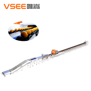 Máquina Clasificadora de Naranjas por Tamaño, Máquina Clasificadora de Frutas por Peso - Product Image 3