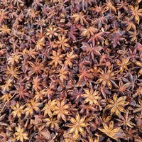 Selected Star Anise Whole Dried Spices Illicium Verum a Grade Natural Condiment for Meat Soup and Pho Seasoning Wholesale