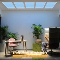 Panneau lumineux LED BBIER ciel bleu, style Art Déco, en métal, télécommande, intensité réglable, sensation de lumière du soleil pour bureau, sous-sol, salle de sport