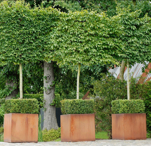 Jardinière rectangulaire moderne en acier Corten pour extérieur, conteneur de plantes de jardin au design minimaliste pour fleurs et plantes vertes - Product Image 6
