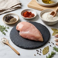 Filet de poulet frit croustillant surgelé de qualité supérieure - Filet de poulet pané doré et juteux pour restaurants et traiteurs