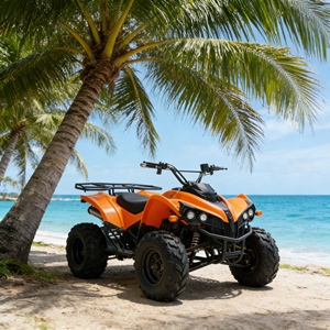 Kart <span class=keywords><strong>électrique</strong></span> de haute qualité 4x4 à quatre roues motrices homologué pour la route pour adultes, tout-terrain, drift, conduite hors route 1000W/<span class=keywords><strong>2000W</strong></span> - Product Image 2