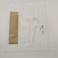 Ensemble de couverts jetables biodégradables en CPLA (couteau, fourchette, cuillère) pour hôtels, restaurants et événements d'entreprise - Vente en gros usine