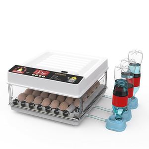 Incubadora <span class=keywords><strong>de</strong></span> <span class=keywords><strong>huevos</strong></span> para uso doméstico, capacidad <span class=keywords><strong>de</strong></span> 48 <span class=keywords><strong>huevos</strong></span>, suministro <span class=keywords><strong>de</strong></span> agua automático, tipo pequeño, 1000, precio <span class=keywords><strong>de</strong></span> fábrica - Product Image 1