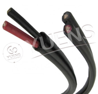 PV-Kabel Schwarz Rot 4mm2 6mm2 Verzinnter Kupferdraht Yuens PV-Solarkabel für Solarkraftwerke Gute Qualität
