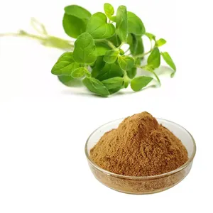 HONGDA Factory Wholesale Oregano Extract Dried Oregano Leaves Extract Powder