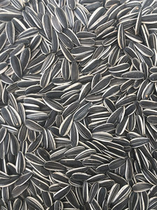 Noyaux <span class=keywords><strong>de</strong></span> <span class=keywords><strong>tournesol</strong></span> <span class=keywords><strong>de</strong></span> qualité supérieure biologiques et sans OGM Aliments secs et séchés <span class=keywords><strong>pour</strong></span> <span class=keywords><strong>oiseaux</strong></span> dans un emballage en vrac - Product Image 3