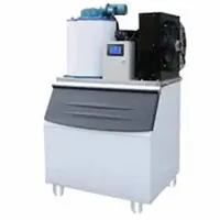 Machine à glace en flocons de neige pour marché de poissons et de fruits de mer - Offre Spéciale