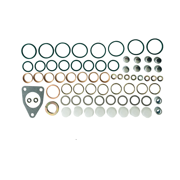 Wholesale Diesel Fuel Pump Part 2 417 010 022 Repair Kit 800717 With High Quality