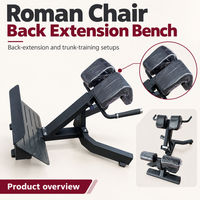 Chaise romaine pour salles de sport commerciales et studios d'entraînement, idéale pour les exercices de dorsiflexion et de soutien en milieu professionnel
