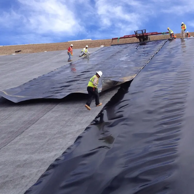 Usine de géomembranes au Mexique Matériaux d'épaisseur 1mm Revêtement d'étang à membrane ferme piscicole