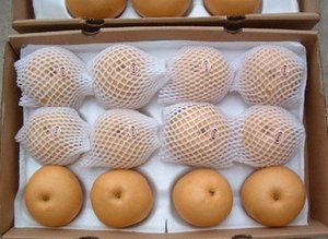 Qiuyue Lê Lê ngon ngọt giòn trái cây laiyang Lê mềm và Lê ngon ngọt để bán - Product Image 6