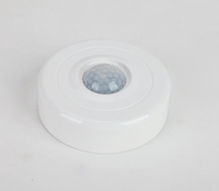 超薄 IP20 300W LED 人体运动感应开关，适用于办公室天花板安装