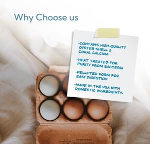 Complément alimentaire au calcium issu de coquilles d'huîtres certifié FDA, marque privée, pour soutenir les poules pondeuses et le développement de coquilles d'œufs solides - Product Image 2