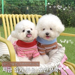 Robe d'été rayée pour chien avec col et boutons décoratifs, jolie jupe pour animaux de compagnie pour petits chiens, chats, chiots et chatons, usage quotidien - Product Image 4