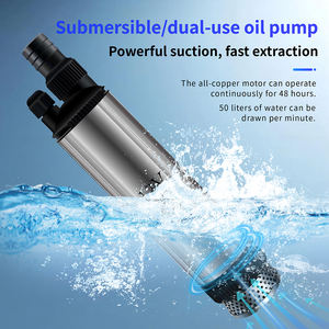 Yüksek Güçlü Hava Tahrikli Dizel ve Benzinli Dalgıç Yakıt Pompası 50L/dak Akış Hızı 12V/24V Model 265W - Product Image 3