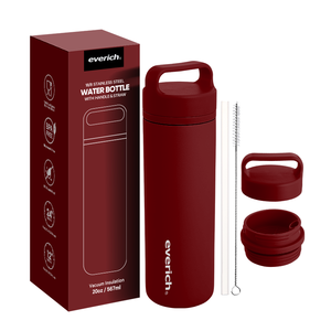 Bouteille <span class=keywords><strong>Thermique</strong></span> en Acier Inoxydable à Double Paroi Isolante de 20 oz Sans BPA pour les Déplacements Modernes Longue Durée avec Poignée - Product Image 4