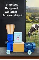 Machine à granulés d'aliments pour animaux de ferme avicole, machine à granulés pour volailles, bétail, porcs, presse à granulés, pelletiseur, fabrication de granulés diesel