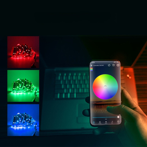 Kabelloser <span class=keywords><strong>RF24</strong></span>-Tastencontroller für bunte RGB-Lichtstreifen, Alexa-Musik-WLAN-Controller - Product Image 2