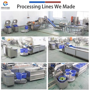 <b>Small</b> Scale Salad Cut-Vegetable Bubble Washing <b>Machine</b> and Spin <b>Drying</b> <b>Machine</b> for Catering - Product Image 5