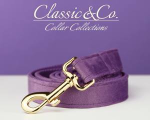 ชุดปลอกคอและสายจูงสุนัขสีม่วงแบบปรับแต่งได้ พร้อมโบว์ลายดอกไม้ ป้ายชื่อสลักแบบเงียบ - ของขวัญสำหรับลูกสุนัขในงานแต่งงาน (ขนาดเล็ก/กลาง/ใหญ่) - Product Image 5