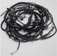0004770 0004772 4449447 0004770H Faisceau de câblage pour excavatrice Hitachi ZX180LC ZX200-3 ZX210 ZX240 ZX200-1 Accessoires moteur