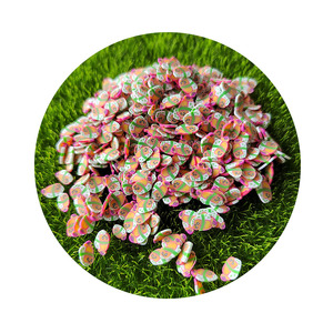 Nueva moda 500 g/lote dibujos animados encantadores cara sonriente <span class=keywords><strong>Sushi</strong></span> comida arcilla polimérica rociadores arcilla caliente rebanadas arte de uñas DIY manualidades Decoración - Product Image 6