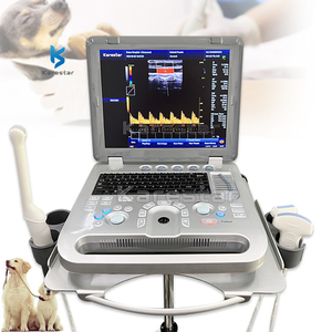 Laptop hewan peliharaan 3D, Ultrasound ultrasonik jantung LED 15 inci - Product Image 1