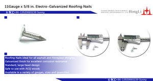 Clous pour toiture de plafond galvanisés de <span class=keywords><strong>1</strong></span> po, fabriqués en usine - Product Image 4