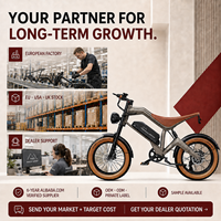 Vélo de montagne électrique haute vitesse M20, batterie lithium 48V, moteur arrière sans balais 750W, suspension intégrale, vélo électrique pour adultes