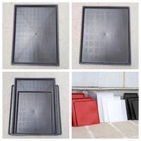 Plateau de fumier inférieur pour volaille, plateau de fumier pour poulets, cage à poulets, planche de fumier