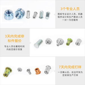 Fixations personnalisées non standard Luoshi Shield en acier au carbone, acier inoxydable, cuivre : vis, écrous, goujons, broches pour la communication - Product Image 2